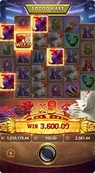 rk7apk · Rooster Rbl